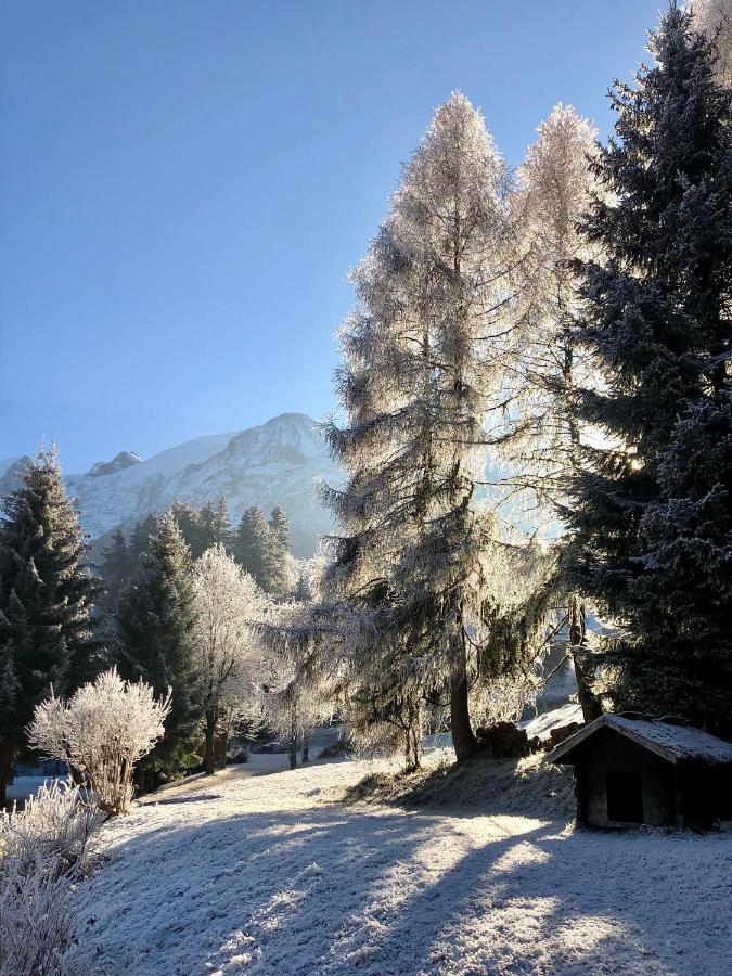 Chambres D'Hotes - B&B - Chalet Mountain Vibes Les Houches Eksteriør billede